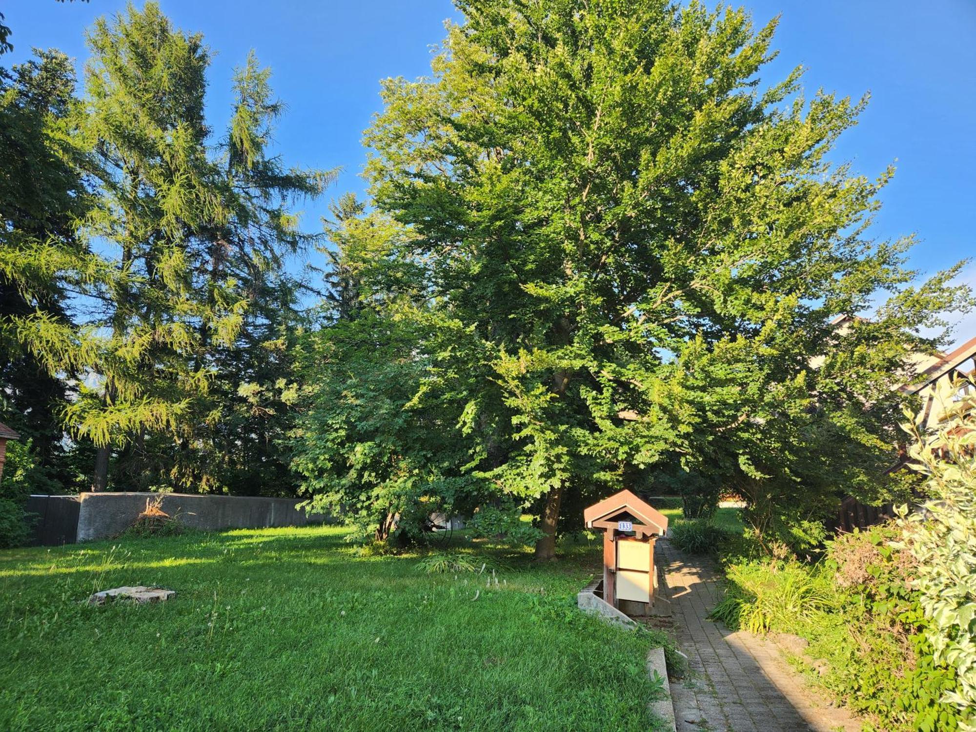 Appartement T3 Avec Jardin Proche Village Saint-Bonnet-en-Champsaur Esterno foto